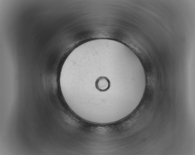 X0000111930302200908101147