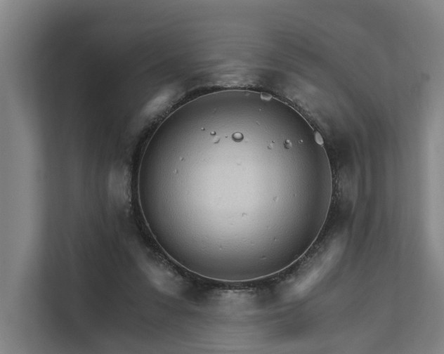 X0000111930303200908101147