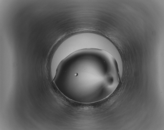 X0000111930304200908101147