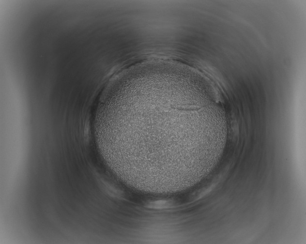 X0000111930312200908101147