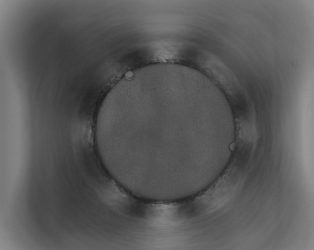 X0000111930313200908101147