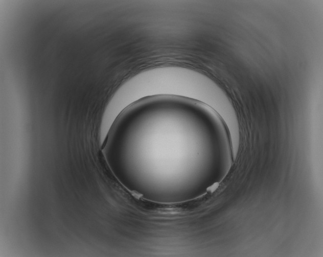 X0000111930316200908101147