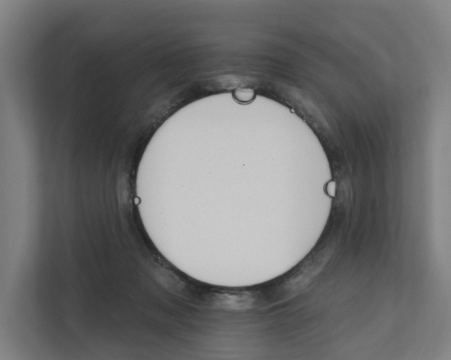 X0000111930317200908101147