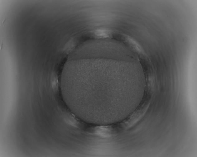 X0000111930320200908101147