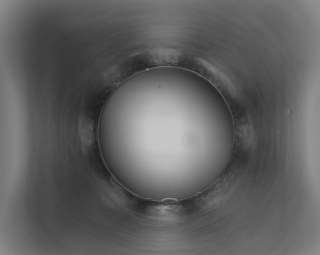 X0000111930323200908101147