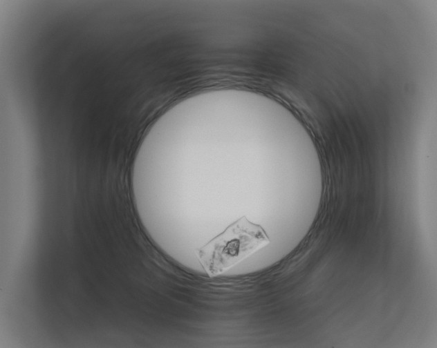 X0000111930325200908101147