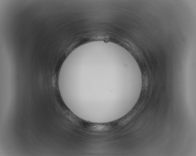 X0000111930326200908101147