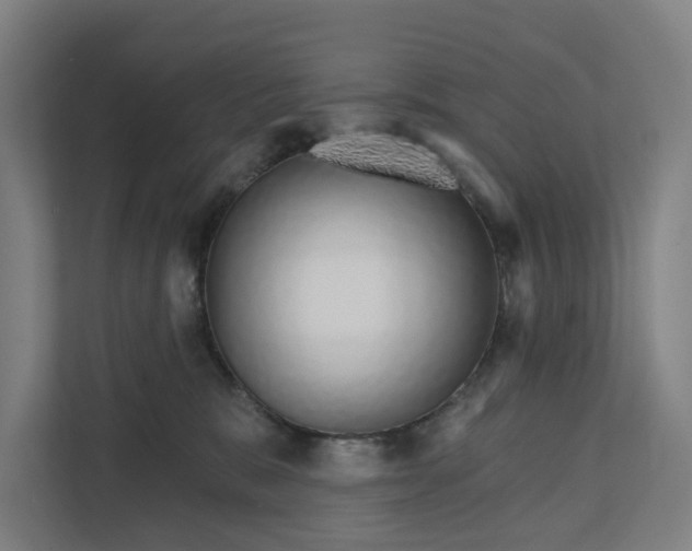 X0000111930327200908101147