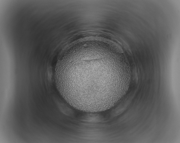 X0000111930328200908101147