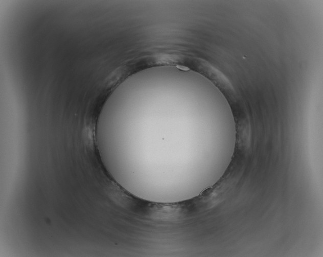 X0000111930329200908101147