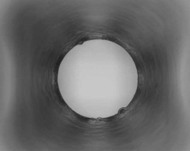 X0000111930331200908101147