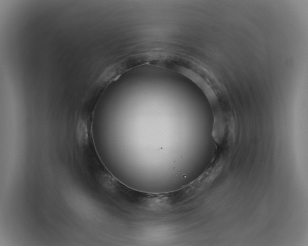 X0000111930333200908101147