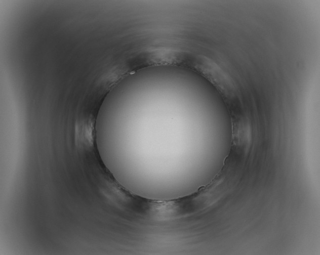 X0000111930334200908101147