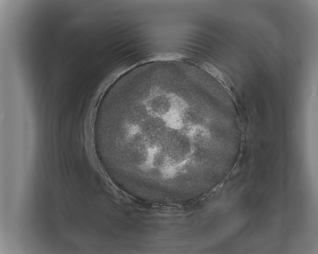 X0000111930337200908101146