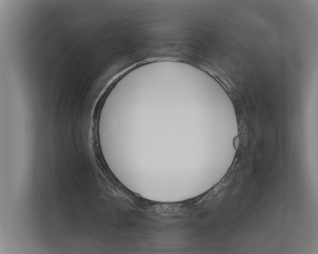 X0000111930338200908101146