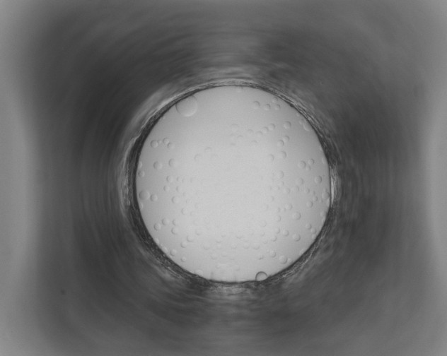 X0000111930339200908101146