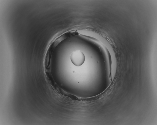 X0000111930340200908101146