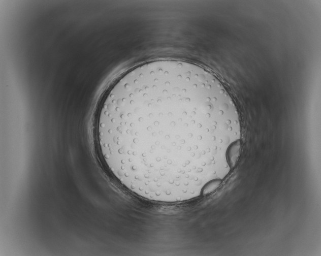 X0000111930341200908101146