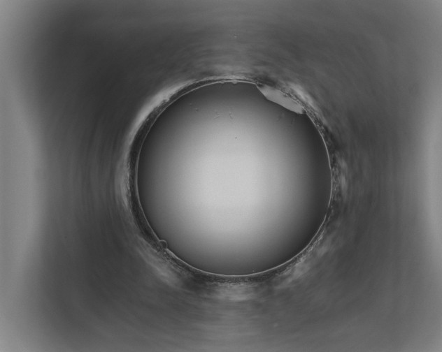 X0000111930342200908101146