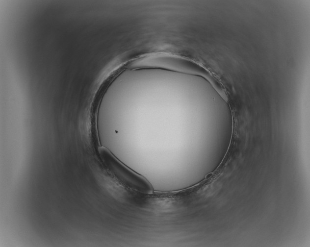 X0000111930344200908101146