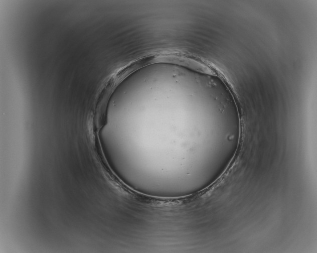 X0000111930345200908101146