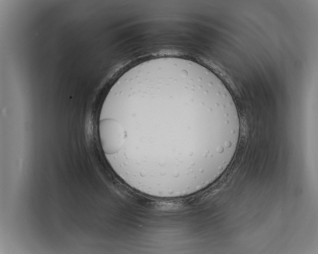 X0000111930347200908101146