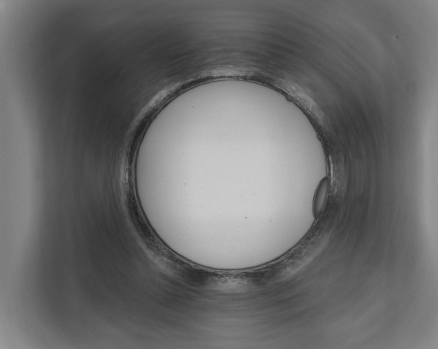 X0000111930348200908101146