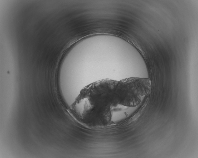 X0000111930349200908101146