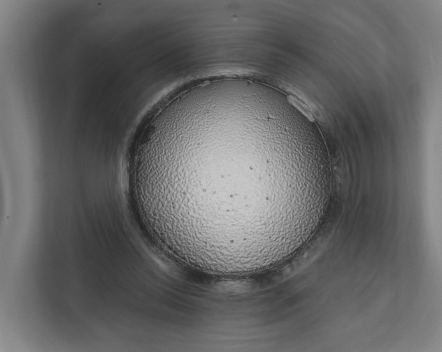 X0000111930350200908101146