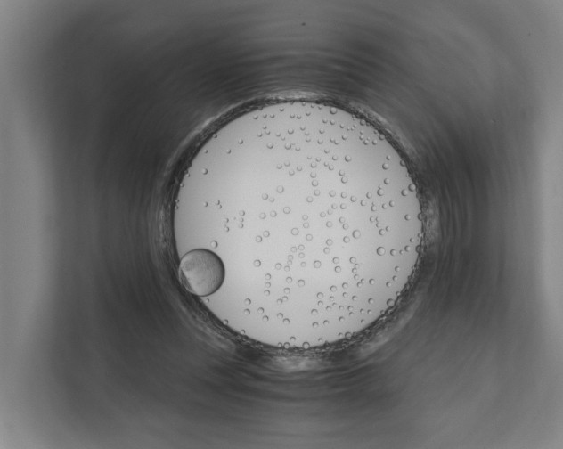 X0000111930351200908101146