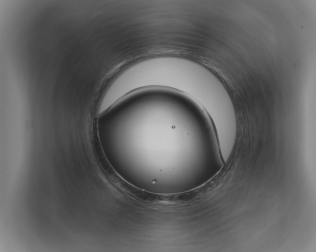 X0000111930352200908101146