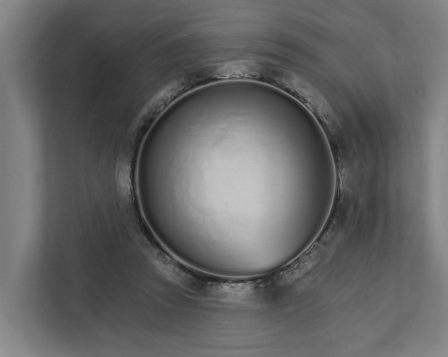 X0000111930353200908101146