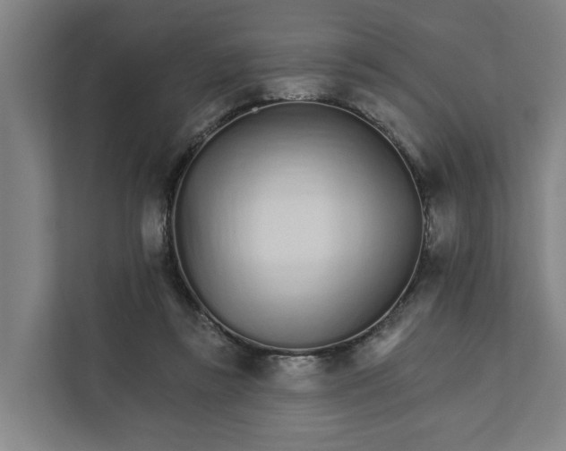 X0000111930355200908101146