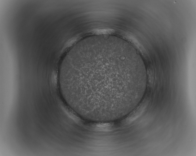 X0000111930357200908101146