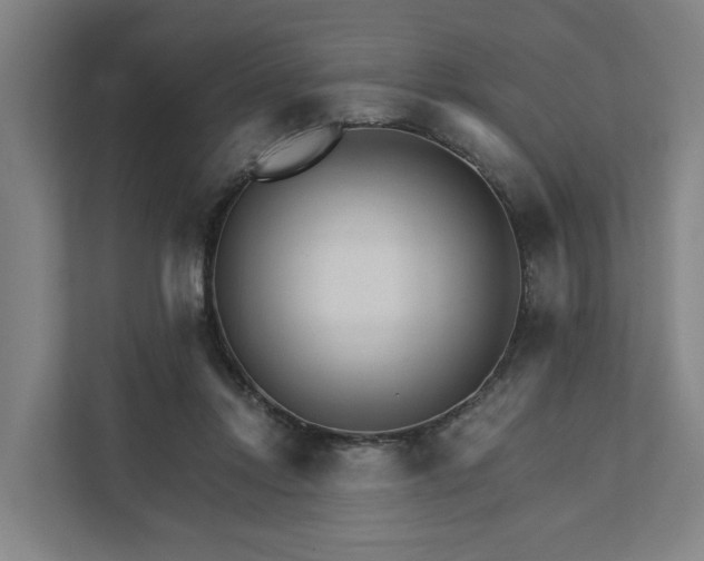 X0000111930358200908101146