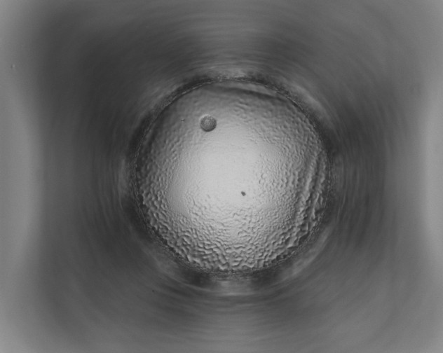 X0000111930359200908101146