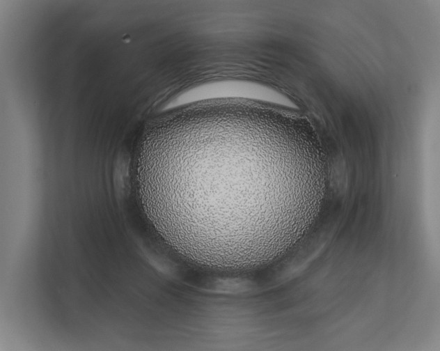 X0000111930360200908101146