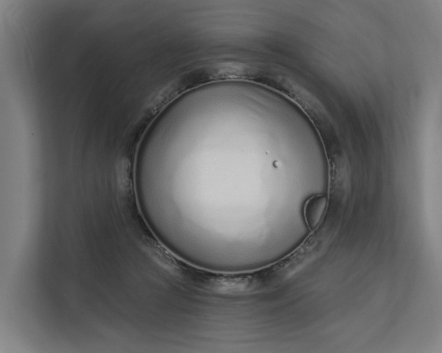 X0000111930361200908101146