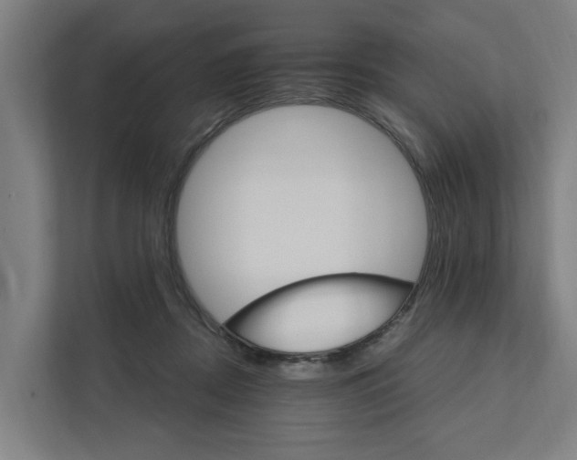 X0000111930362200908101146