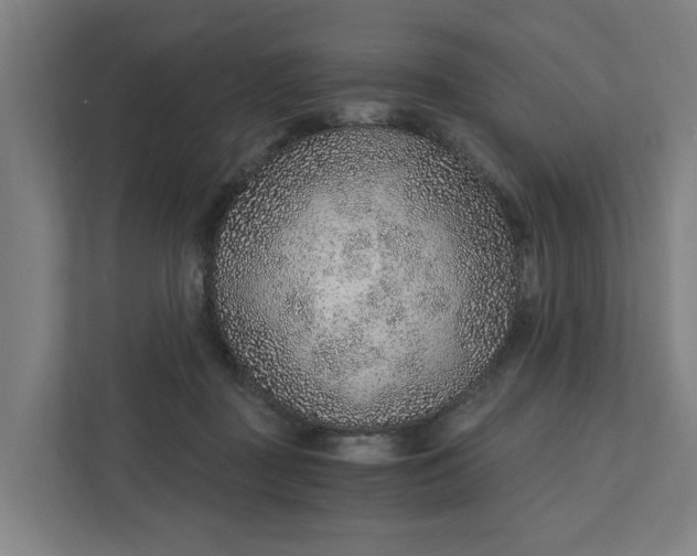 X0000111930363200908101146