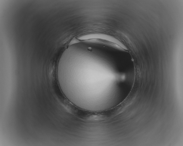 X0000111930364200908101146