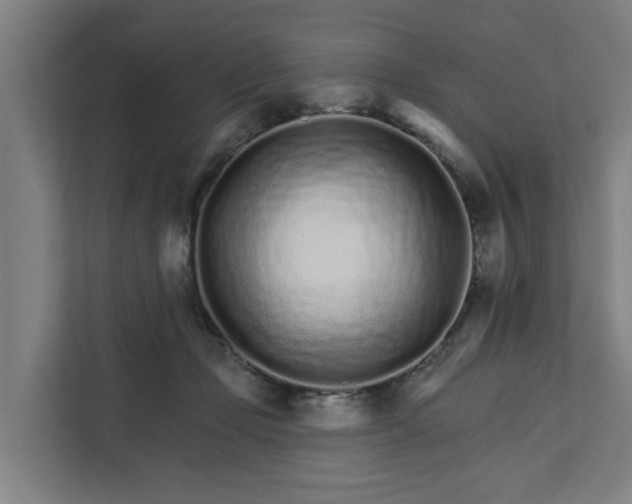 X0000111930365200908101146