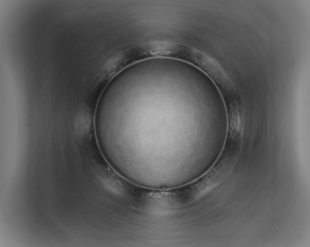 X0000111930367200908101146