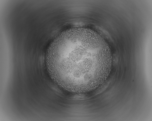 X0000111930369200908101146