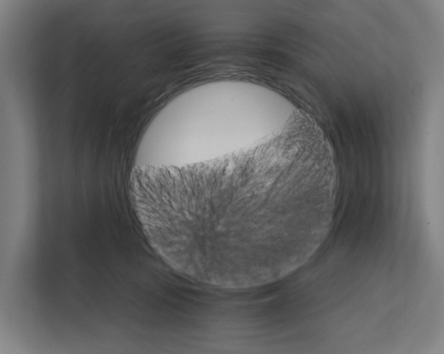 X0000111930371200908101146