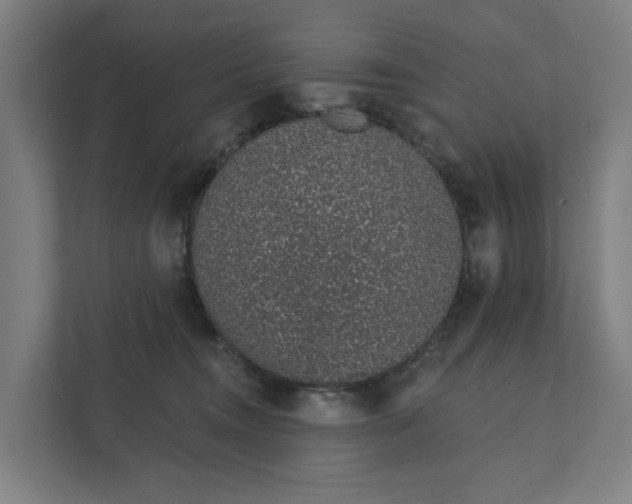 X0000111930372200908101146