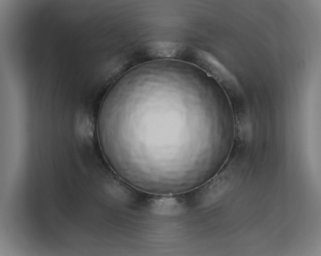 X0000111930374200908101146