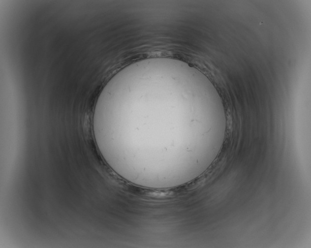 X0000111930375200908101146