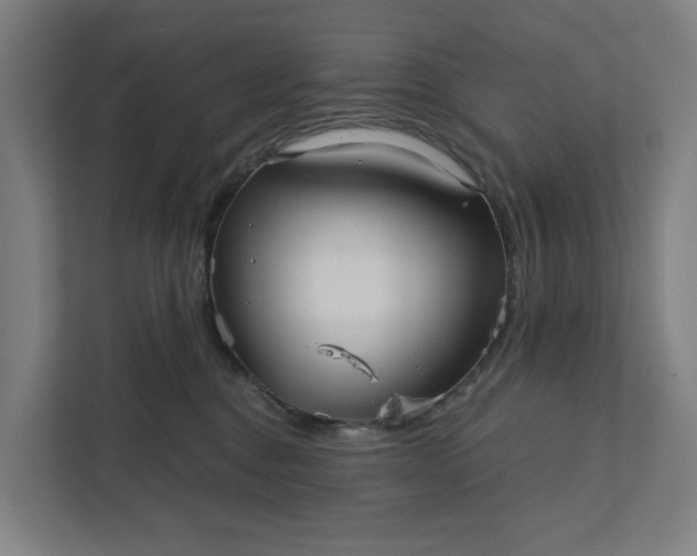 X0000111930376200908101146