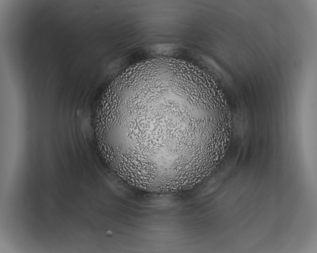 X0000111930377200908101146